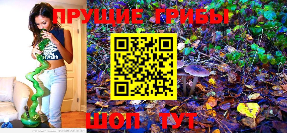 Вологда  Псилоцибиновые грибы прущие грибы  Псилоцибиновые грибы MAGIC MUSHROOMS  Вход с VPN 
